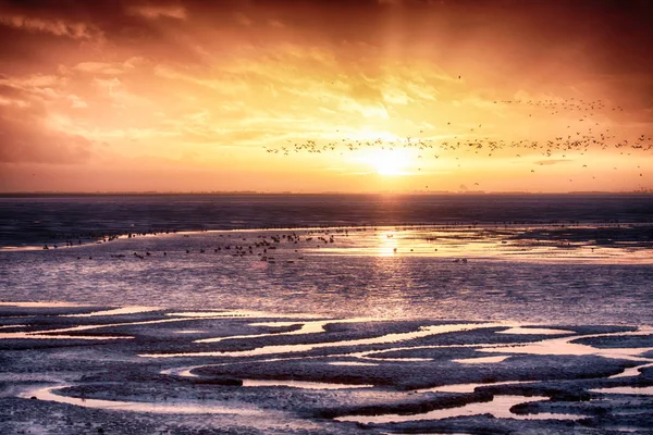 Mareas en la playa del atardecer Norfolk —  Fotos de Stock