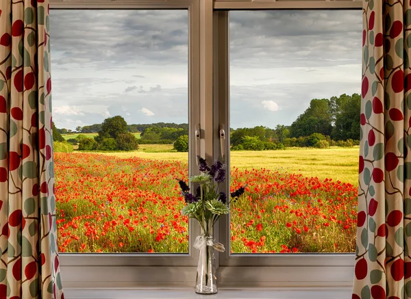 Fenêtre avec vue sur les champs de pavot — Photo