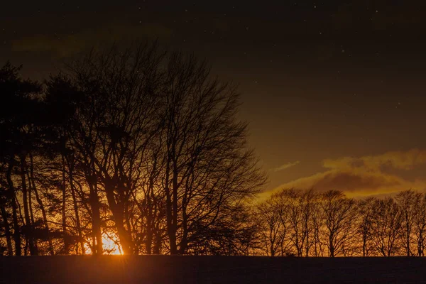 Sunset glowing on horizon through trees — 스톡 사진