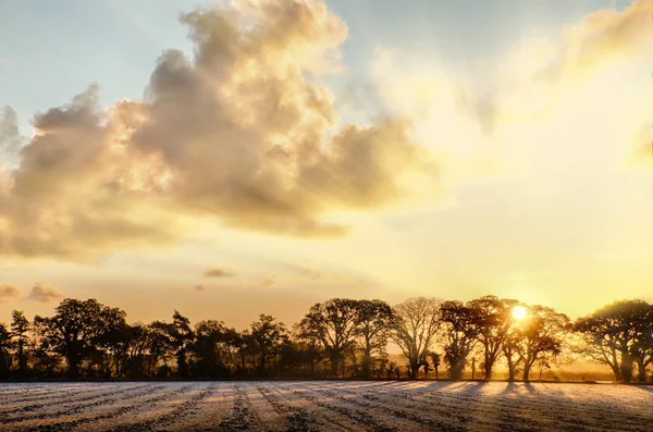 Frosty jordbruksmark soluppgång i Norfolk Storbritannien — Stockfoto