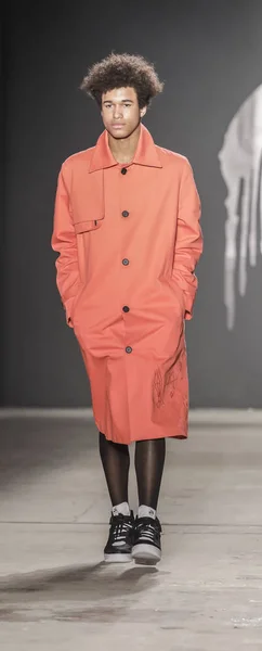 로 샹 보 Fw17 패션쇼 — 스톡 사진