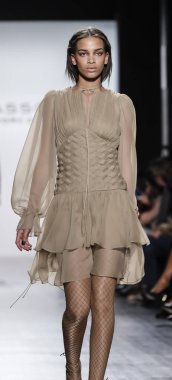 Dennis Basso Fw17 koleksiyonu