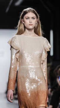 Dennis Basso Fw17 koleksiyonu