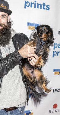 Jerry kaşları güçler