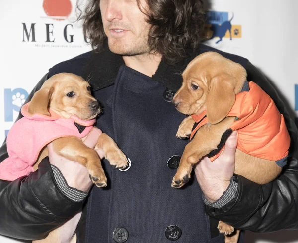 Andrew Jenks con perros adoptables — Foto de Stock