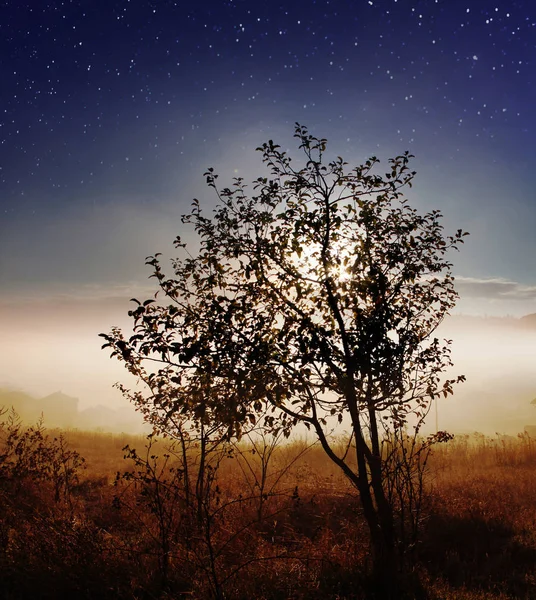 Звездное небо над сельской местностью — стоковое фото