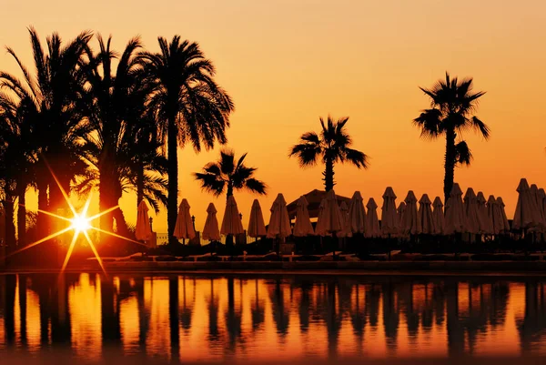 Sonnenuntergang und Palmen im Resort — Stockfoto