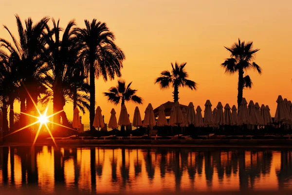 Sunset and palms in resort — Stock Photo, Image