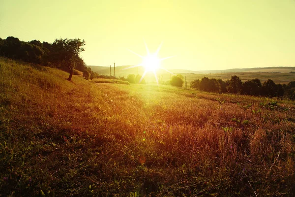 Prairie dans les zones rurales — Photo