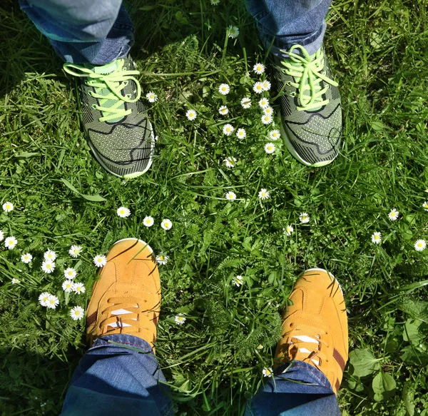 Sportschoenen op groen gras — Stockfoto