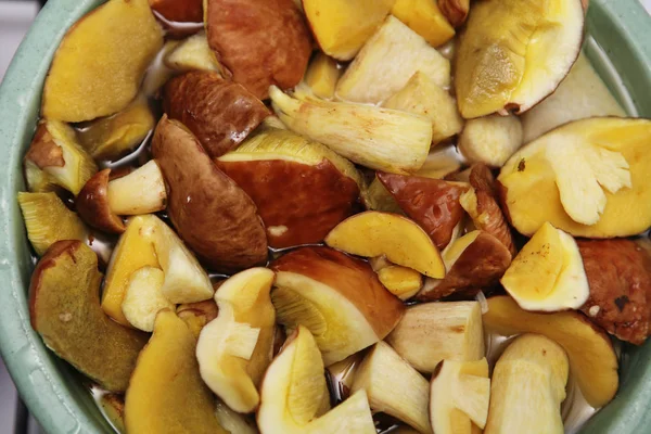 Cepes for pickling or marinading — Stock Photo, Image