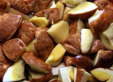 Mantar ile arka plan