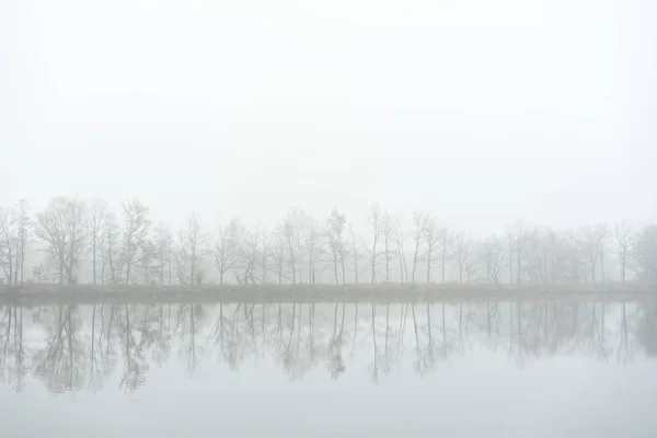 Árboles en la orilla del lago. Humor de niebla otoñal . —  Fotos de Stock