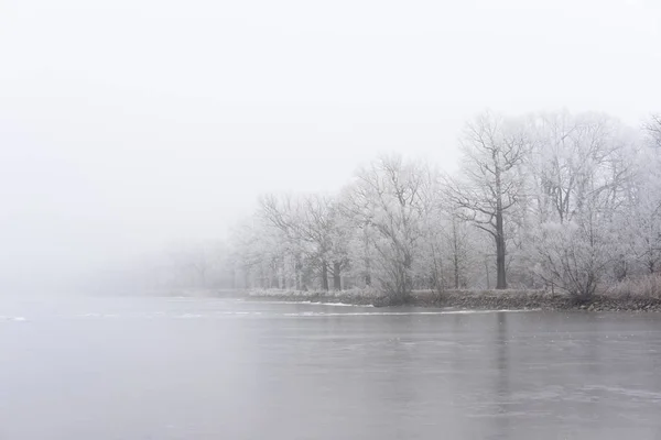 Nevoeiro de inverno na margem do lago gelado. Arvores congeladas . — Fotografia de Stock