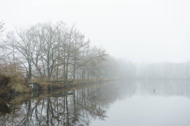 Küçük bir göl kıyısında sonbahar sis.