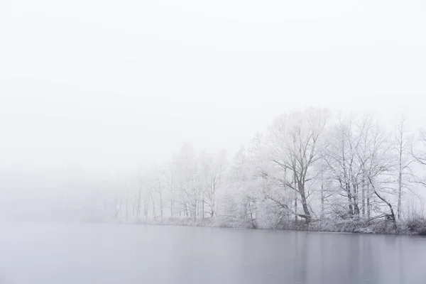 Nevoeiro de inverno na margem do lago gelado. Arvores congeladas . — Fotografia de Stock