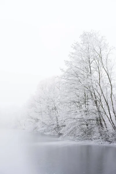 Nevoeiro de inverno na margem do lago gelado. Arvores congeladas . — Fotografia de Stock