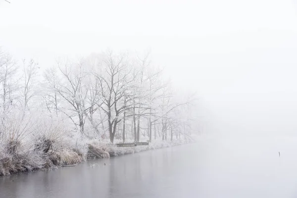 Nevoeiro de inverno na margem do lago gelado. Arvores congeladas . — Fotografia de Stock