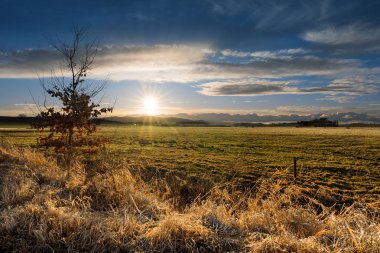 Güneş ile sonbahar ya da İlkbahar kırsal çayır.