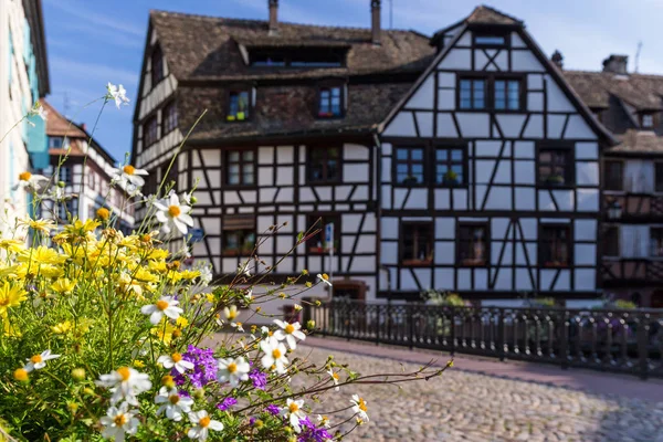 Rua em Estrasburgo com decoração de flores . — Fotografia de Stock