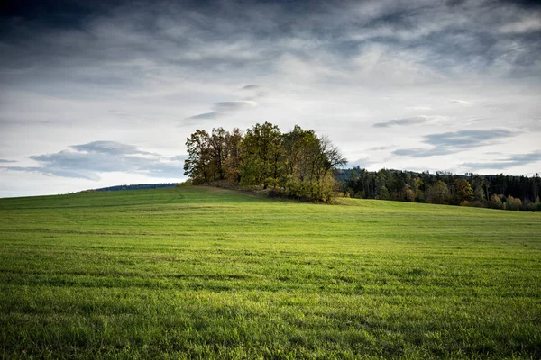 Маленький зеленый холм с деревьями и лугами . — стоковое фото