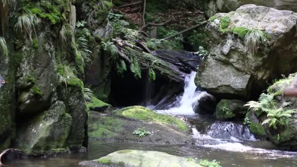 Water stroomt tussen rotsen — Stockvideo