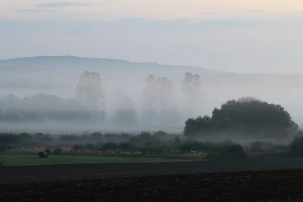 Venkovská krajina v ranní mlze — Stock fotografie