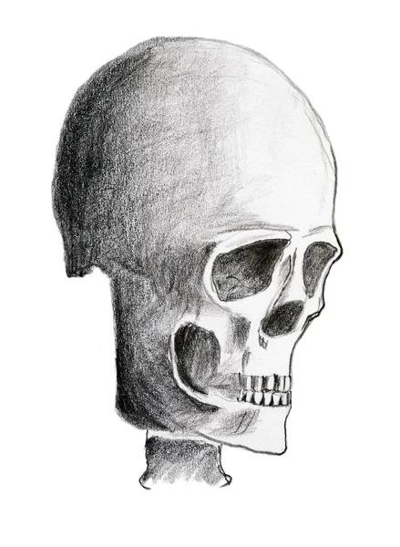 Desenho manual do crânio — Fotografia de Stock