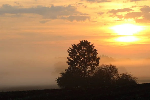 Νωρίς το πρωί ήλιος πάνω από αγροτική ύπαιθρο — Φωτογραφία Αρχείου