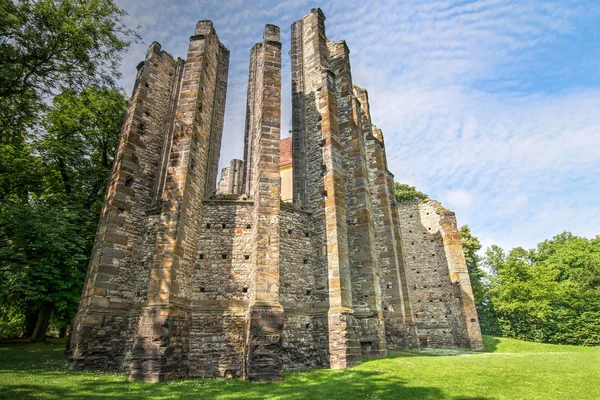 Gotische Kathedrale der Gottesmutter — Stockfoto