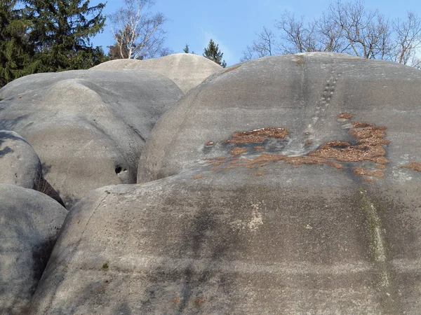 İlginç kaya oluşumu fil kayalar — Stok fotoğraf