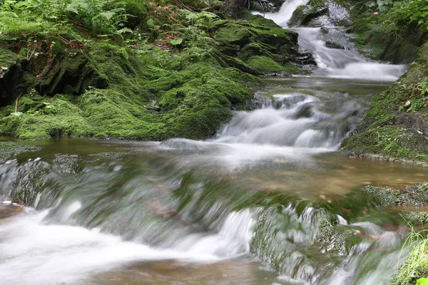 Rapids adlı orman creek - uzun pozlama — Stok fotoğraf