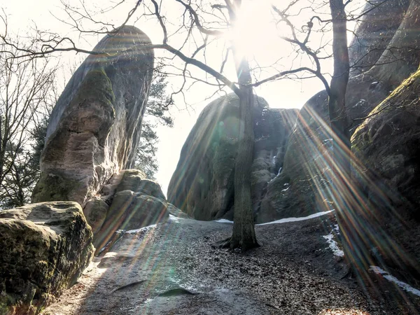 Arka ışık kayalarda beyaz fil — Stok fotoğraf