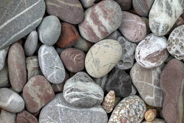 Stone background - pebbles in earth colors — Stock Photo, Image