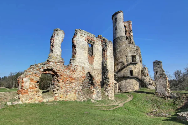 Ruinas del castillo de Zviretice —  Fotos de Stock