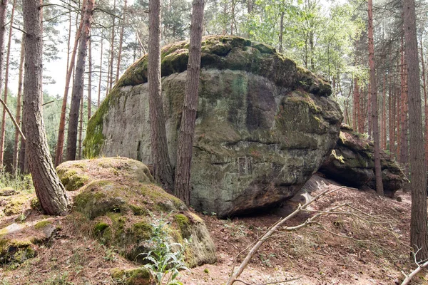 Formation rocheuse dans la forêt — Photo