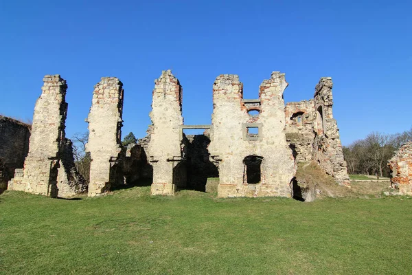 Zviretice 城堡的废墟 — 图库照片