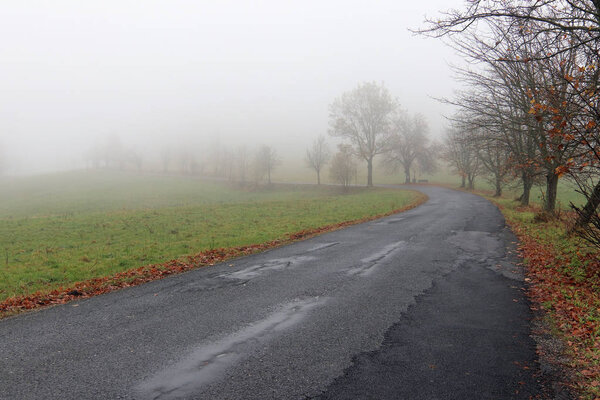 Empty road in misty day