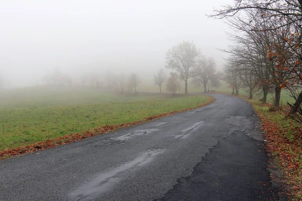 Puste drogi w mglisty dzień — Zdjęcie stockowe