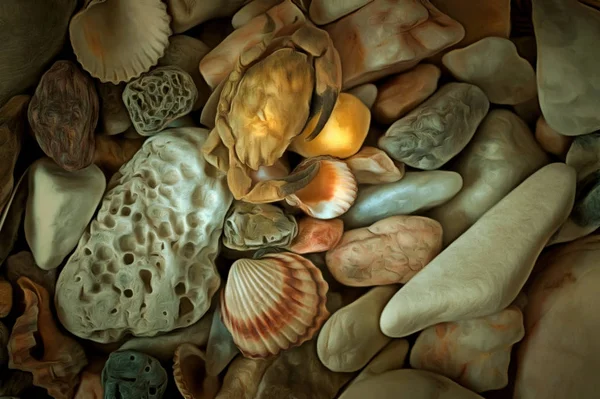 Kieselsteine mit Muscheln — Stockfoto