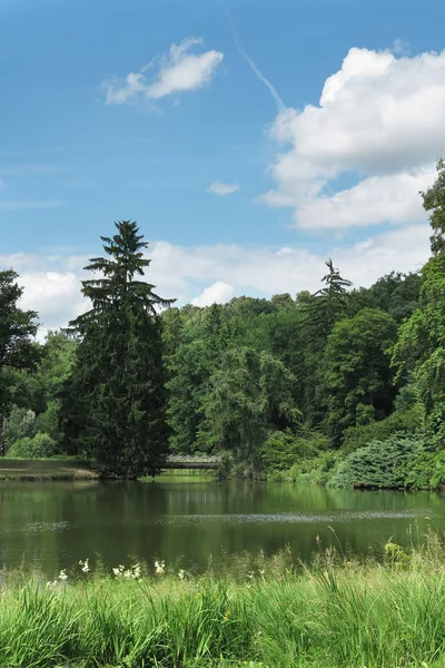 Zonnige dag in het park — Stockfoto