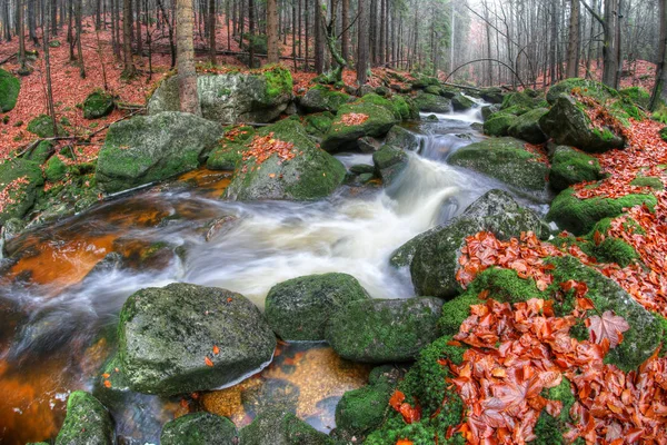 Stroom van water over de rotsen bedekt met moss in de herfst — Stockfoto