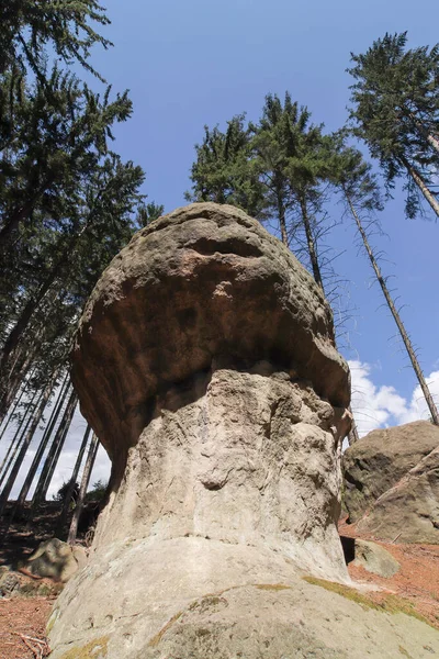 Felsen von Gnomen, Polen — Stockfoto