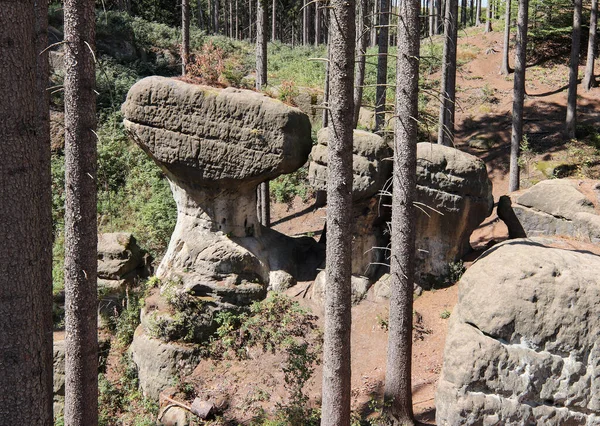 Felsen von Gnomen, Polen — Stockfoto