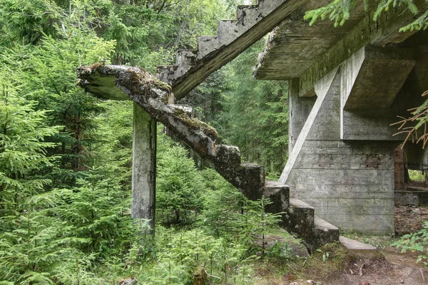 Resto abandonado da escada de concreto na floresta — Fotografia de Stock