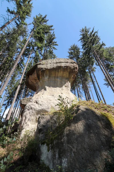 Cücelerin Kayaları, Polonya — Stok fotoğraf