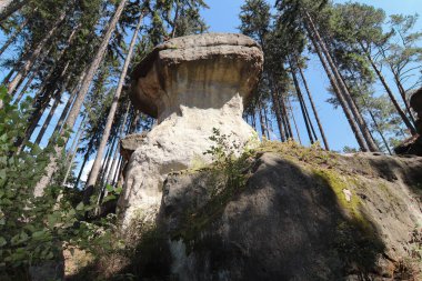 Cücelerin Kayaları