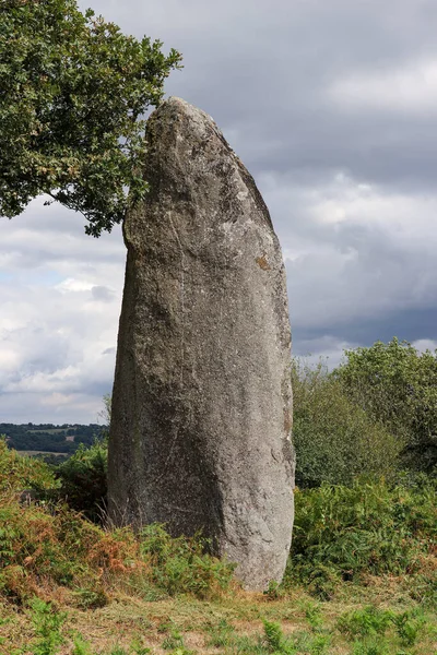 Menhir Kergornec Megalitiskt Monument Nära Byn Saint Gilles Pligeaux Departementet — Stockfoto