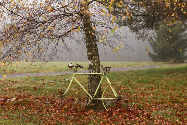 Verlaten Oude Fiets Onder Herfst Berkenboom Een Mistige Dag — Stockfoto