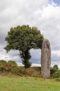 Kergornec 'li Menhir - Saint-Gilles-Pligeaux köyü yakınlarındaki megalitik anıt, Cotes-d' Armor, Brittany, Fransa